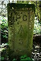 Old Boundary Marker in Hockley Woods