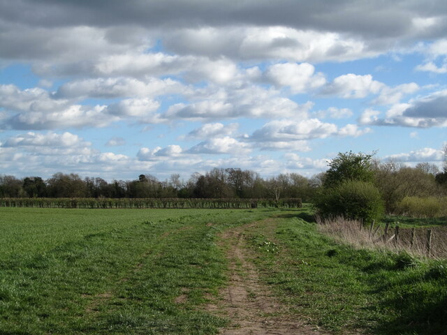 Riverside track at Cattal