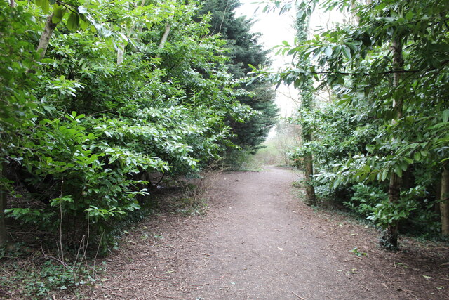 Path in Howardian Nature Reserve