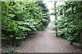 Path in Howardian Nature Reserve