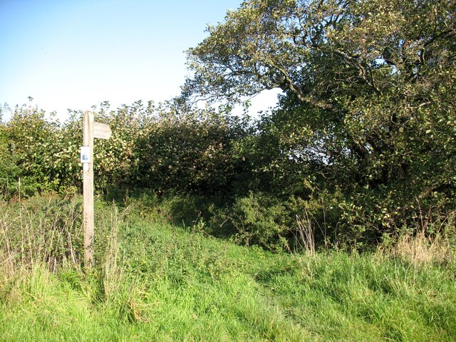 The Cumbria Way near Netherhouses