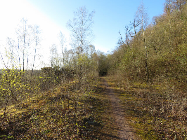 Path through Garth Wood © Gareth James cc-by-sa/2.0 :: Geograph Britain ...