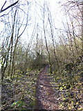 ST1282 : Path on Little/Lesser Garth Hill by Gareth James
