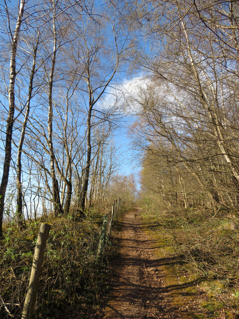 Footpath along northern edge of Taffs Well Quarry