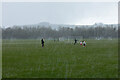 Snap hail storm on King George V playing fields