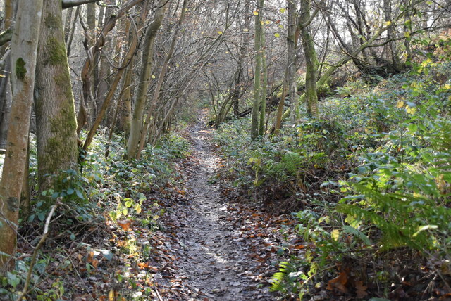 Tunbridge Wells Circular Walk, Burnt... © N Chadwick :: Geograph ...