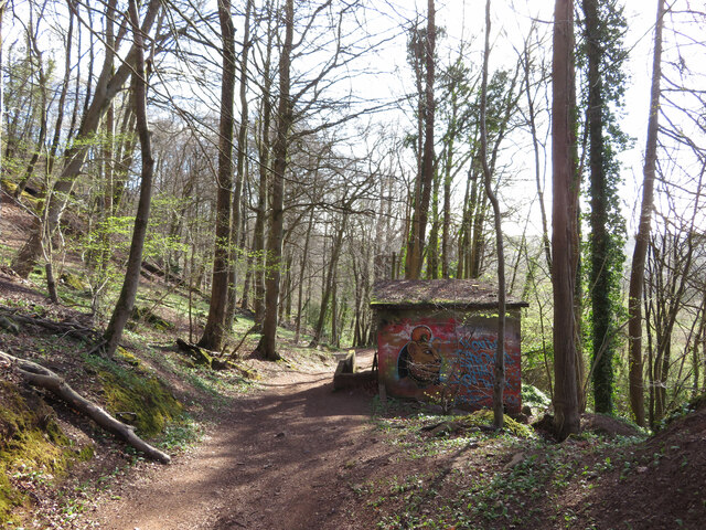 Path through Garth Wood