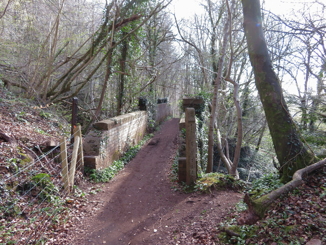 Footbridge over the trackbed of the Barry Railway in Garth Wood