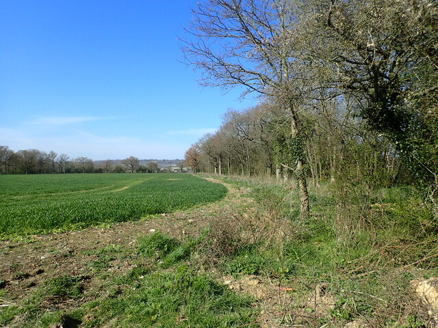 Field adjacent to Tilden Lane