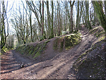ST1182 : Path Junction in Garth Woods by Gareth James