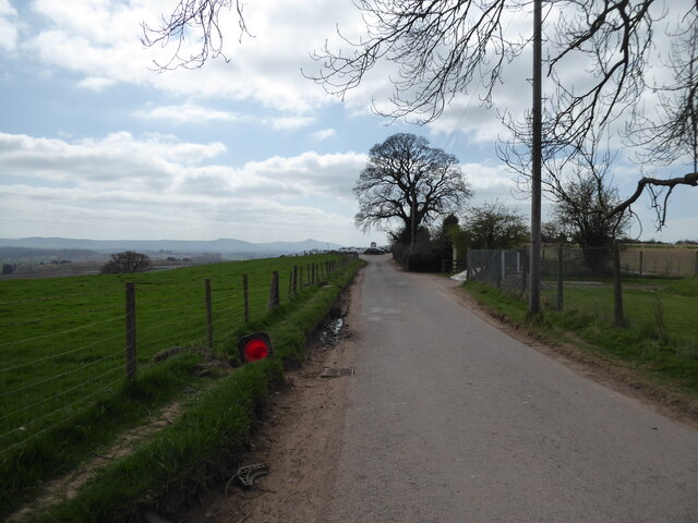 Lane approaching Lyth Hill car park