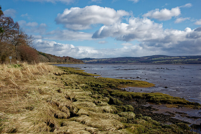 Shore of the Beauly Firth