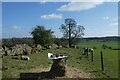 Farmland in Haddockstones