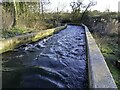 SP5201 : The fish pass by Sandford Hydro by Steve Daniels