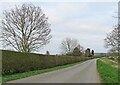 Harby Lane eastwards past Langar Grange