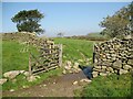 SD2781 : Field gateway near Netherhouses by Adrian Taylor