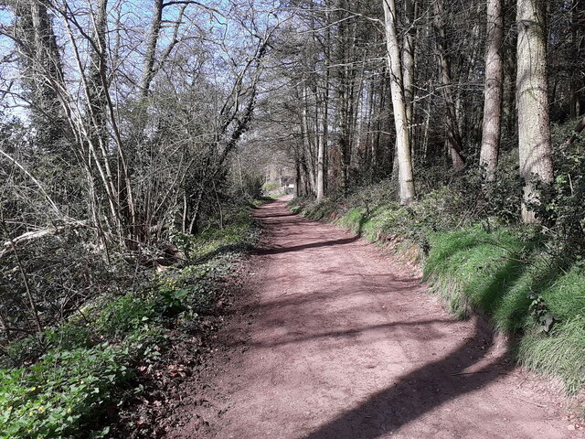 Bridleway in the woods near Evelith Mill