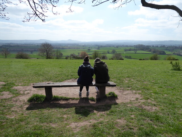 Bench on Lyth Hill near Spring Coppice