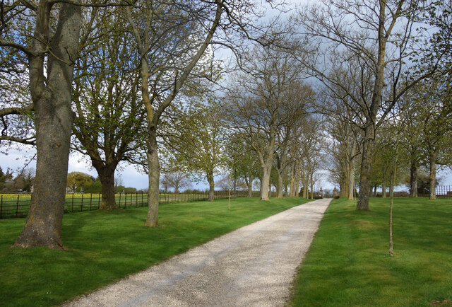 Driveway to Kitemore House