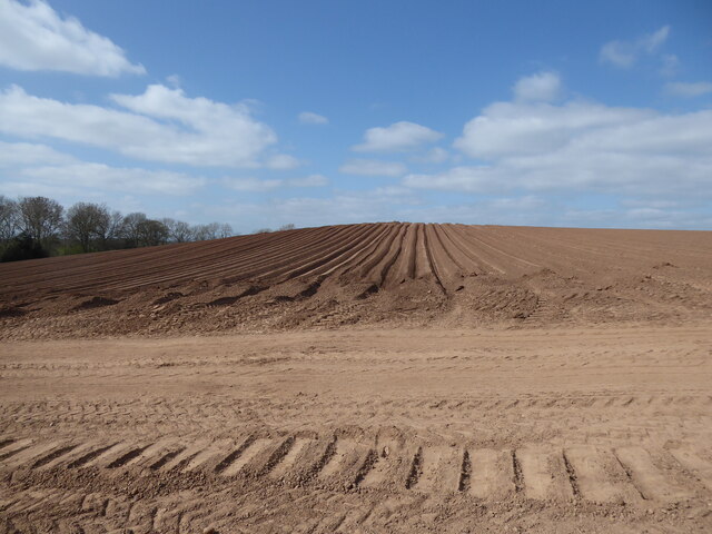 Plough soil in April
