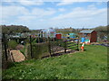 Allotment gardens at Bayston Hill