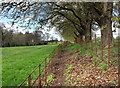 Footpath near Kitemore House