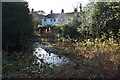 Small pond on the common