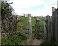 Gate to a small nature reserve and children