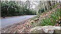 Ryedown Lane from the site of the Sounding Arch