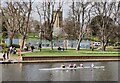 SP0343 : Rowers on the River Avon at Evesham by Mat Fascione