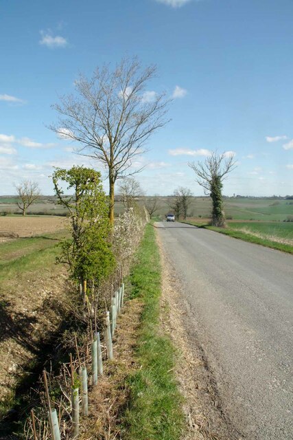 Hedge Repairs on the Road From Steventon