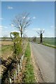 Hedge Repairs on the Road From Steventon