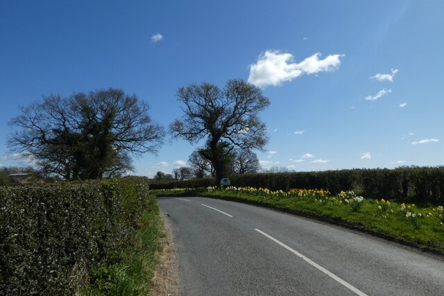 Road entering Cowthorpe