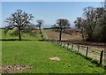 Farmland near Holbeache