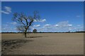 Fields beside Atterwith Lane