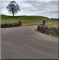 Treesbank Farm entrance