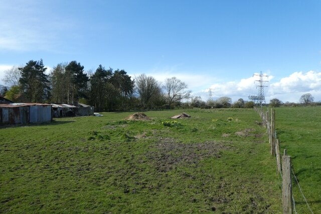 Field in Osbaldwick