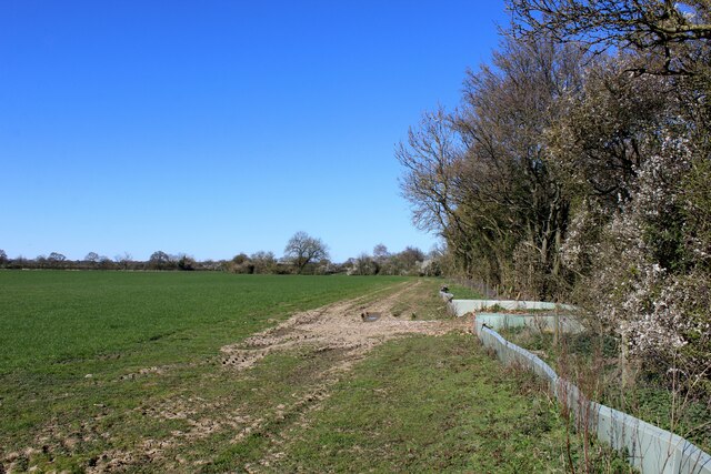 Section of the Footpath between Alne and the A19