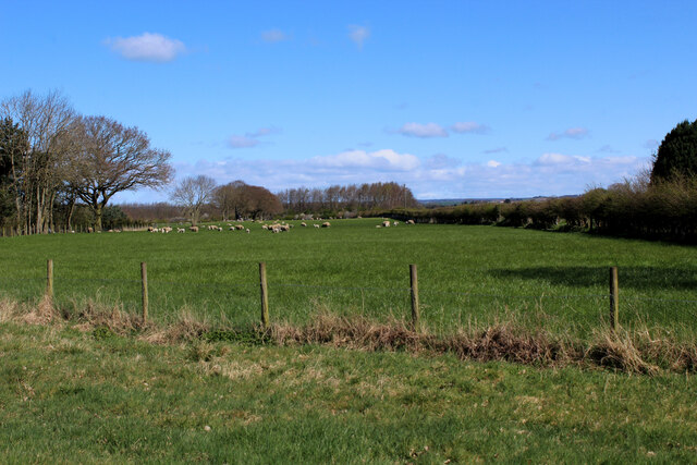 Pasture off Crankley Lane
