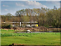 Tram, Pond and Horse