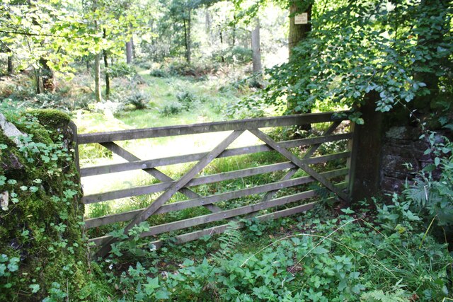 Entrance gateway to Slatequarry Wood from rural road near High Coatsgill