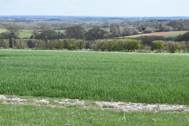 View over farmland towards Brickworth