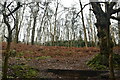 SJ5175 : Sandstone Trail, Snidley Moor Wood by N Chadwick
