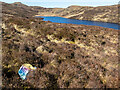 NM9503 : A view of Loch GeÃ²idh, spoilt by Patrick Mackie