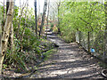 Path, Broadfield, Crawley