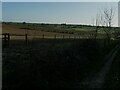 Bridleway alongside Addlethorpe Wood