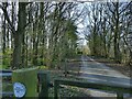 Entrance to Addlethorpe Wood