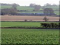 Birmingham to Stansted rail service passing by