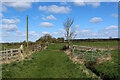 Grass Track heading North towards Manor Farm