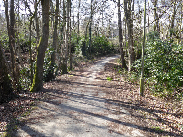 Path across Creasy's Brook, Broadfield, Crawley